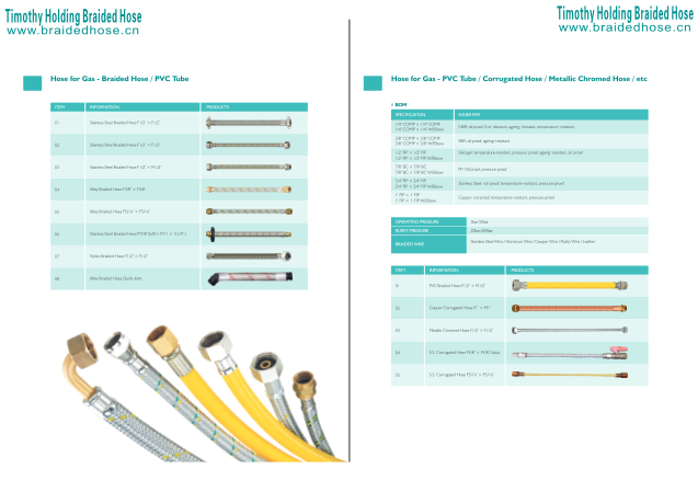 Descargar Flexible Hose For Gas.pdf gratis